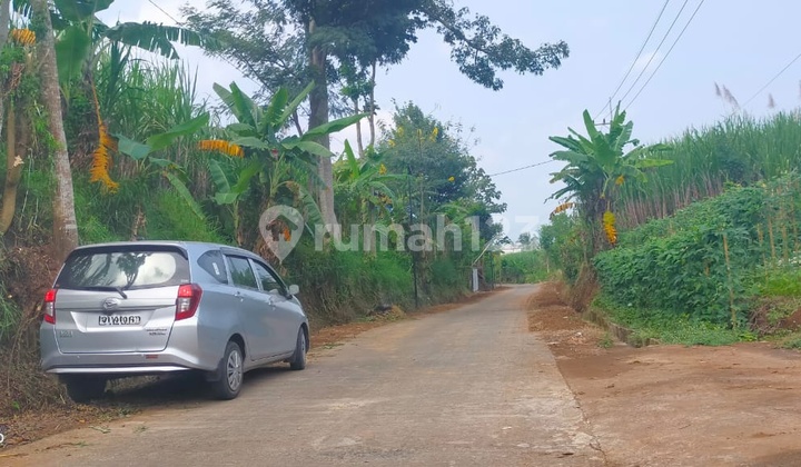 Tanah Wagir Wiloso Dekat Banyak Perumahan 