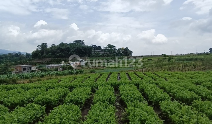 Dijual Tanah Strategis di Batu Temas Dekat Perum Athara Dijual Tanah Strategis di Batu Temas Dekat Perum Athara