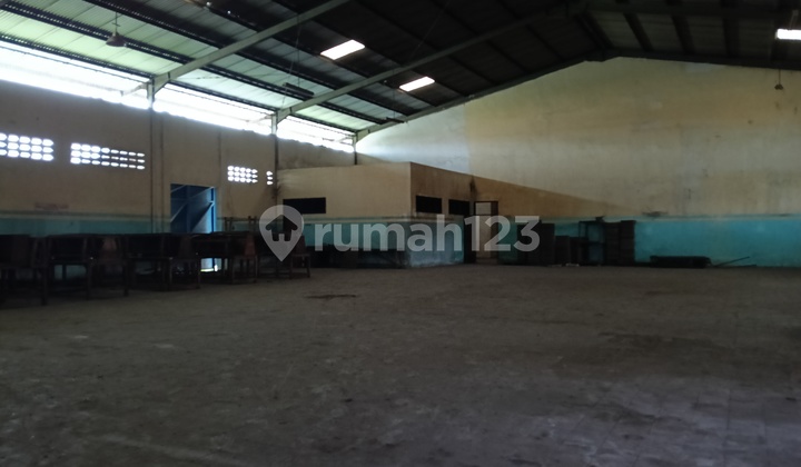 Warehouse Wagir Ready to Live Industrial Zone Container Access Warehouse Wagir Ready to Live Industrial Zone Container Access