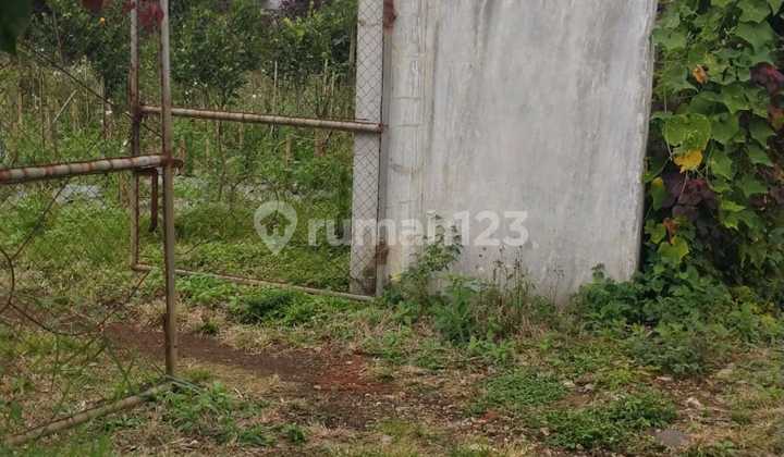 Dijual Kebun Jeruk Lokasi di Dau Akses Mobil bisa Simpangan
