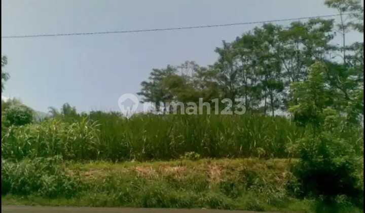 Dijual Tanah Poros Joyo Agung Kawasan Bisnis Dan Area Padat Kosan Dijual Tanah Poros Joyo Agung Kawasan Bisnis Dan Area Padat Kosan