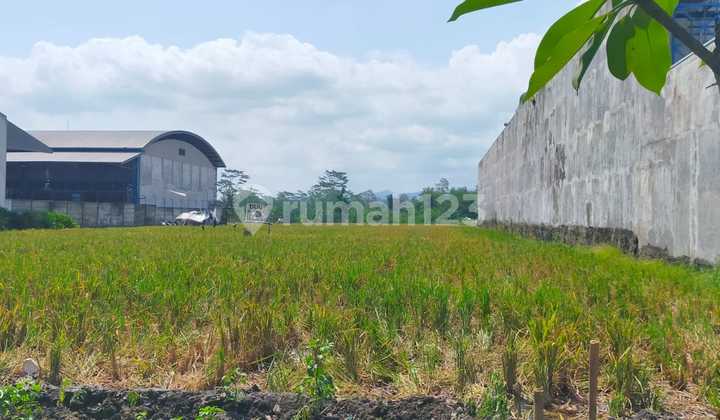 Tanah Pakisaji Strategis Zona Industri Dijual Murah Tanah Pakisaji Strategis Zona Industri Dijual Murah