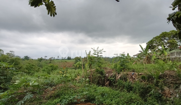 Tanah Pakisaji Murah Poros Jalan Provinsi Dekat P G Kebonagung