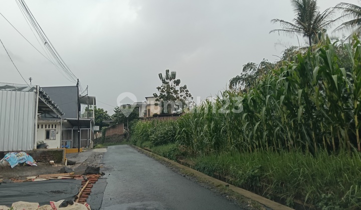 Tanah Singosari Strategis Dekat Poros Jalan Provinsi Surabaya Malang Tanah Singosari Strategis Dekat Poros Jalan Provinsi Surabaya Malang