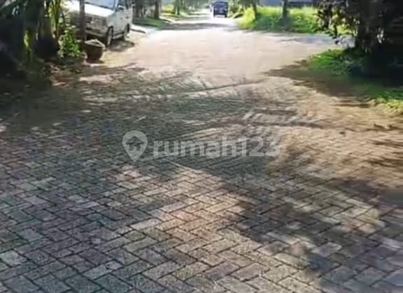 Dijual Murah Tanah Araya Telaga Golf ... Dijual Murah Tanah Araya Telaga Golf ...