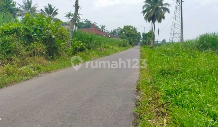 Affordable Bululawang Land on Asphalt Road Axis Near P G Krebet Affordable Bululawang Land on Asphalt Road Axis Near P G Krebet