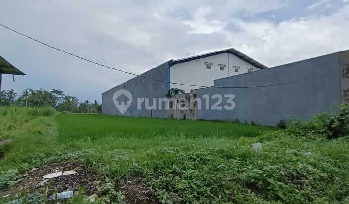 Tanah Pakisaji Poros Jalan Provinsi Areal Industri Premium