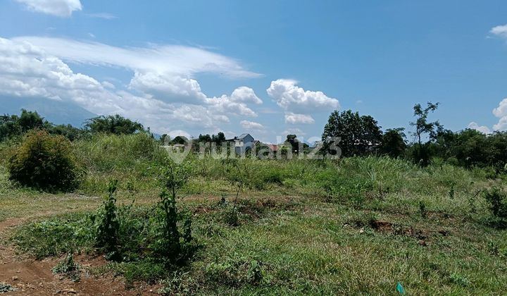 Purwosari Land, Surabaya - Malang Industrial Area Corridor Purwosari Land, Surabaya - Malang Industrial Area Corridor