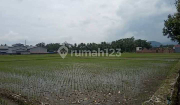 Porous Land in Pakisaji Near Enak Eco, Area 3000 Meters