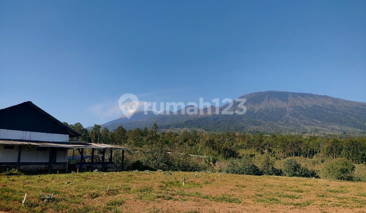 Dijual Cepat Tanah Strategis Di Kota Batu Dengan View Menarik