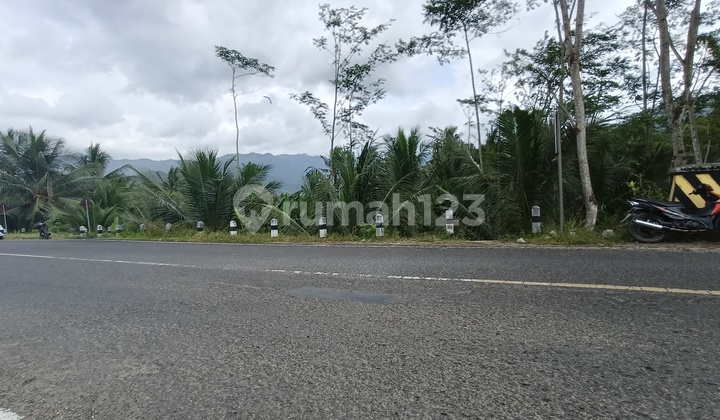 Tanah Poros Trenggalek Dekat Wisata Pantai Jalur Lintas Selatan Tanah Poros Trenggalek Dekat Wisata Pantai Jalur Lintas Selatan