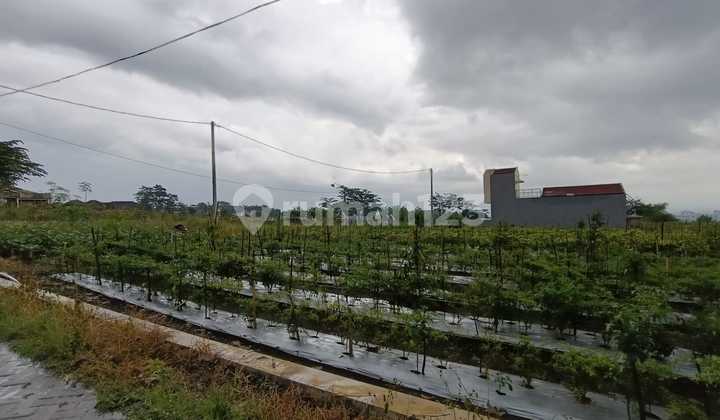 Dijual Tanah Strategis Lokasi di Joyo Agung Dekat Cluter Kos