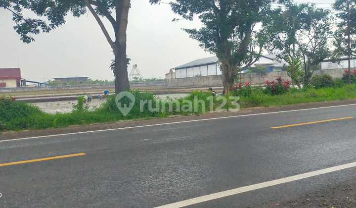 Land with Container 40 Ft Access in Pakisaji Land with Container 40 Ft Access in Pakisaji