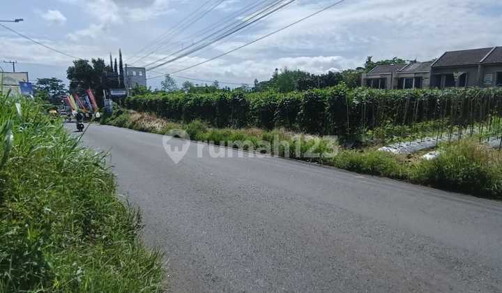 Dijual Tanah Strategis di Poros Joyoagung Area Pusat Bisnis Joyoagung