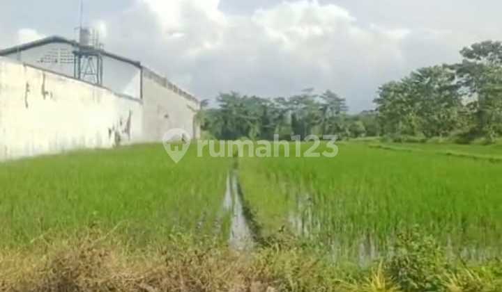 Porous Land in Pakisaji Industrial Area with Tronton Access Porous Land in Pakisaji Industrial Area with Tronton Access