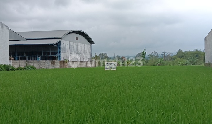 Cheap Land in Pakisaji, Industrial Area Main Road Axis, Pakisaji