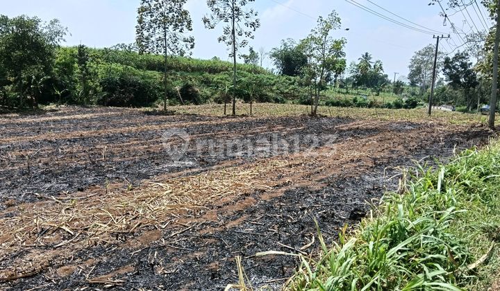 Singosari Land Industrial Area Klampok Road Corridor Singosari Land Industrial Area Klampok Road Corridor