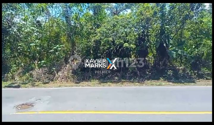 Turun Harga!Dijual Super Murah !! Tanah Strategis di Lintas Sumatera Lampung