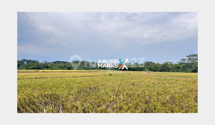 Dijual Tanah Murah Berada di Seberang Wisata Wendit Malang Dijual Tanah Murah Berada di Seberang Wisata Wendit Malang