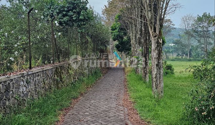 Price Reduced! Landed House with Large Land for Sale in Selecta Batu Malang Price Reduced! Landed House with Large Land for Sale in Selecta Batu Malang