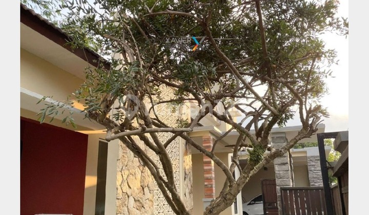 Dijual Rumah Cakep Strategis harga Miring di Tidar Malang 1