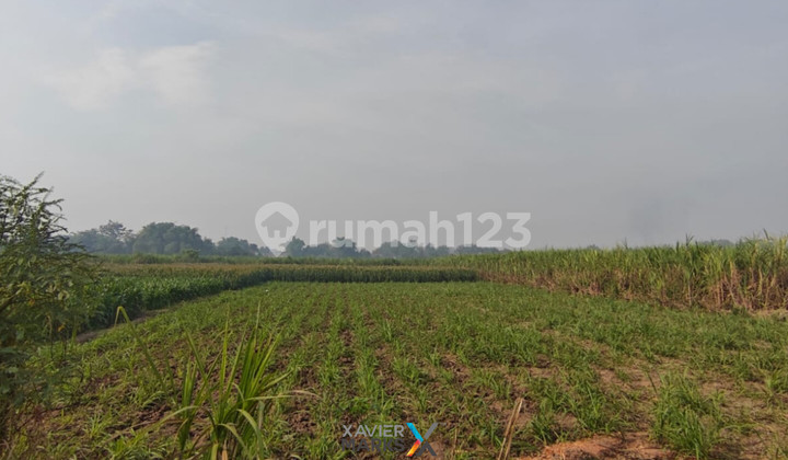 Dijual Cepat Tanah Murah *bawah Harga Pasaran !!*