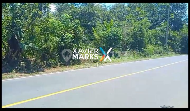 Dijual Super Murah !! Tanah Strategis di Lintas Sumatera Lampung Dijual Super Murah !! Tanah Strategis di Lintas Sumatera Lampung