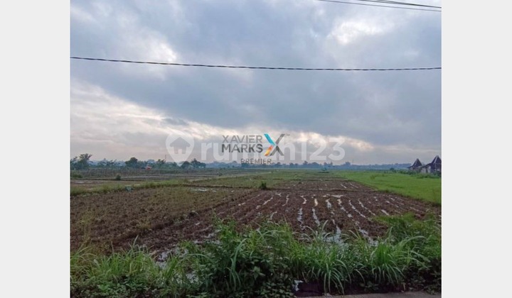 Dijual Tanah Lahan di Sekarpuro, Pakis Malang