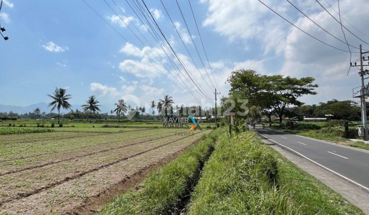 *Dijual Cepat Tanah Pertanian di pakis Malang* 