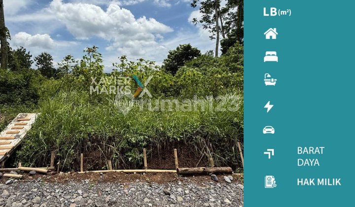 Tanah Lokasi di Dekat Gate Perumahan The Araya, Pakis Malang Tanah Lokasi di Dekat Gate Perumahan The Araya, Pakis Malang