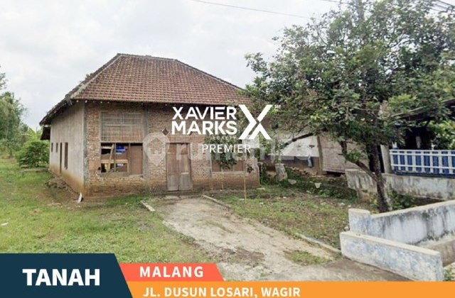 Tanah Cocok Buat Peternakan Dusun Losari Sidorahayu Wagir Malang