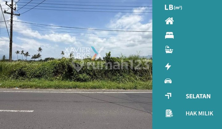 Lahan di Poros Jalan Raya Banjarejo, Pakis Kabupaten Malang Lahan di Poros Jalan Raya Banjarejo, Pakis Kabupaten Malang