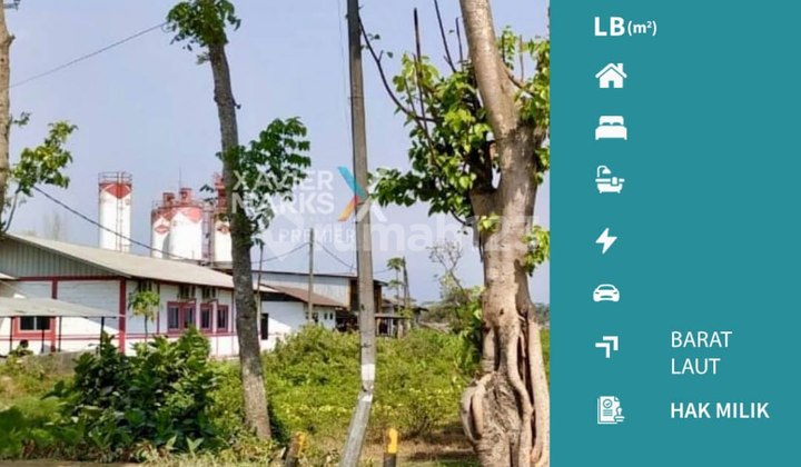 Land with a Strategic Location, Zero Main Road Access, Kebonagung, Pakisaji, Malang.