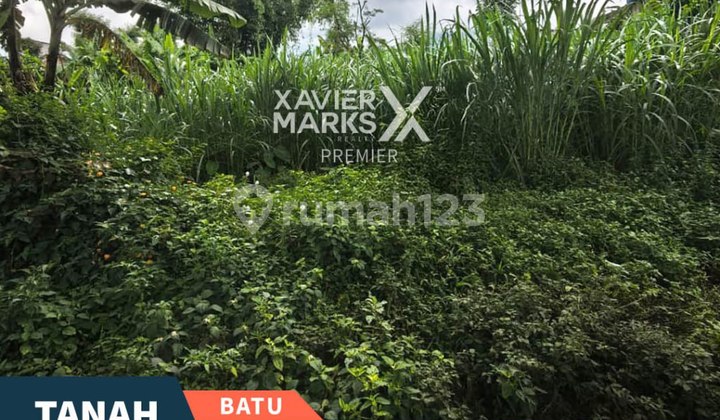 Tanah Luas dan Strategis Dekat Rs Baptis di Tlekung Batu Malang