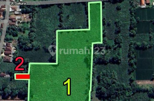 Spacious Land Location in Pringu, Bululawang, Malang Spacious Land Location in Pringu, Bululawang, Malang