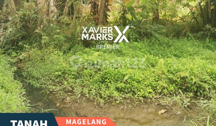 Rumah dan Tanah di Mungkid, Magelang Dekat Candi Borobudur Jawa Tengah Rumah dan Tanah di Mungkid, Magelang Dekat Candi Borobudur Jawa Tengah