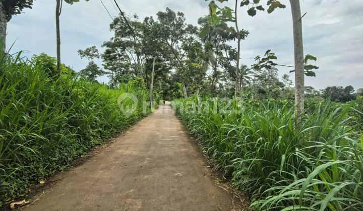 Large Land in Cemorokandang Kedungkandang Malang Large Land in Cemorokandang Kedungkandang Malang