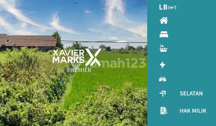 Tanah Lokasi Di Jalur Pantai Utara (Pantura) Lamongan Jawa Timur