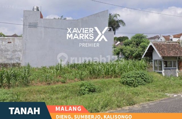 Land Ready to Build in Dieng Sumberjo Kalisongo, Dau Malang Land Ready to Build in Dieng Sumberjo Kalisongo, Dau Malang