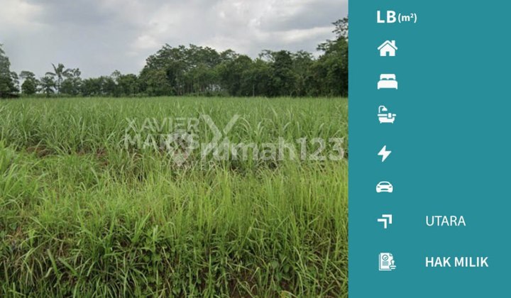 Large Land Strategically Located in Banjararum Singosari Malang Large Land Strategically Located in Banjararum Singosari Malang
