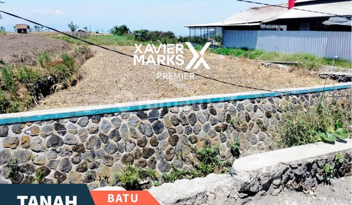 Land Suitable for Plantation on Jl. Sutan Hasan Halim, Sisir Batu Land Suitable for Plantation on Jl. Sutan Hasan Halim, Sisir Batu