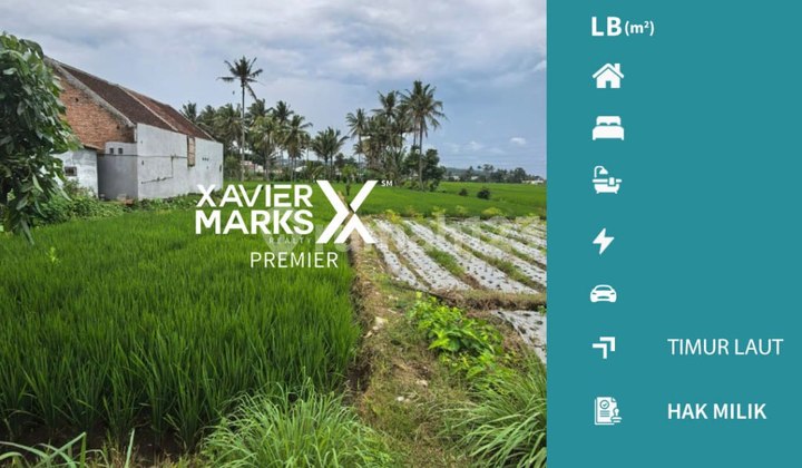 Tanah Luas Siap Untuk Di Bangun Di Ampeldento Pakis Malang Tanah Luas Siap Untuk Di Bangun Di Ampeldento Pakis Malang