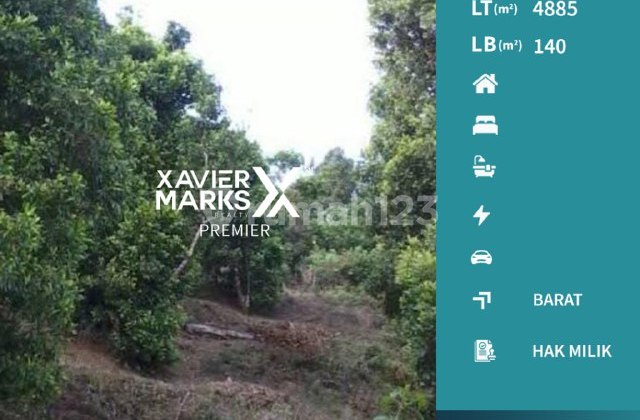 Tanah Untuk Pertanian Di Sidem, Jombok Pule Trenggalek