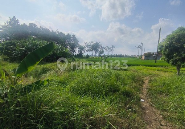 Land Plot in Puri Cempaka Putih Housing, Arjowinangun, Malang