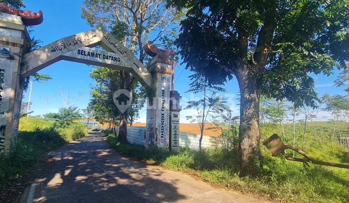 SHM Land 56.0 Ha Suitable for Plantation Agriculture Fisheries SHM Land 56.0 Ha Suitable for Plantation Agriculture Fisheries