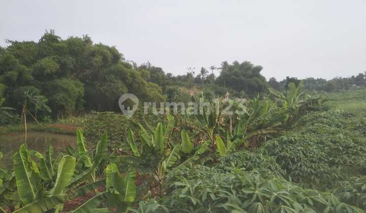 Tanah 5830M2 di Parung Bogor Shm+Ajb