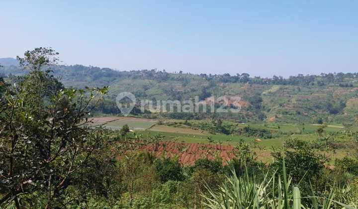 Tanah Berisi Hasil Kebun Di Kp. Pakauman Ciambar Sukabumi