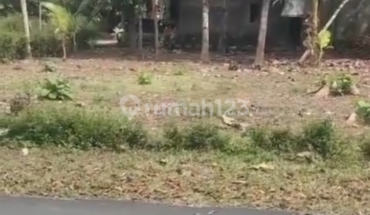 Dijual Tanah Pekarangan Lokasi Strategis Dijual Tanah Pekarangan Lokasi Strategis
