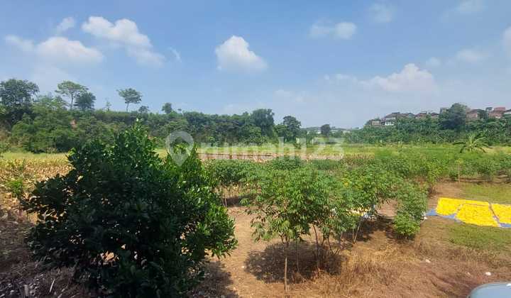 Lahan Terbaik Bonus Bangunan Gudang Siap Pakai Seluas 2.913 M2 2