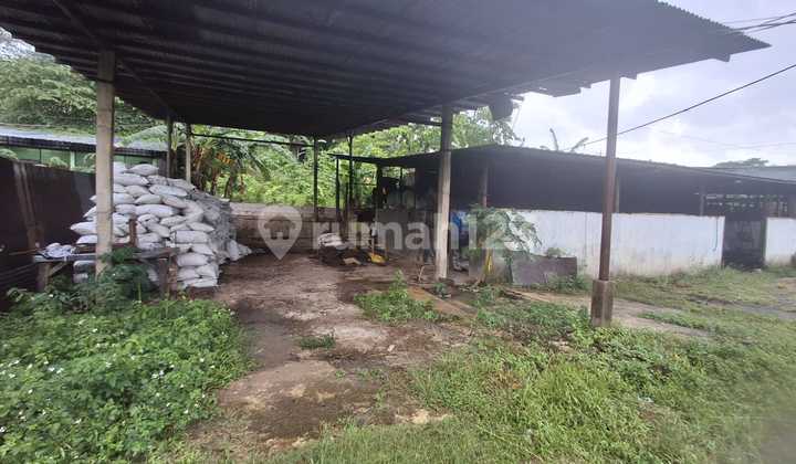 Lahan Siap Huni Harga Disc Brutal Cocok Buat Gudang Perternakan 1